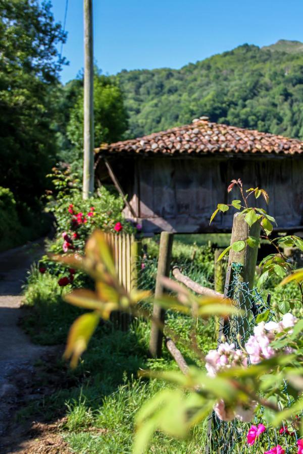 Casa Clarita Villa Caño Kültér fotó